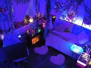 voyeurcam-veccasalt-01 webcam