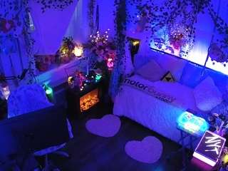 voyeurcam veccasalt 01