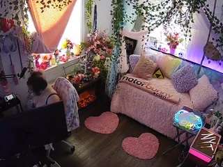 voyeurcam-veccasalt-01