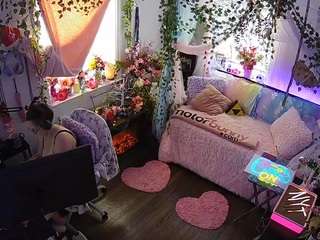 voyeurcam-veccasalt-01 webcam