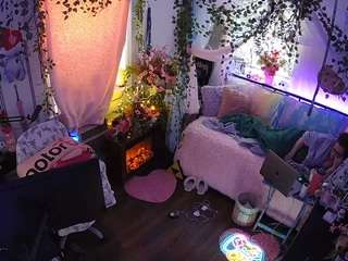 voyeurcam-veccasalt-01 webcam