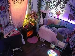 voyeurcam-veccasalt-01 webcam