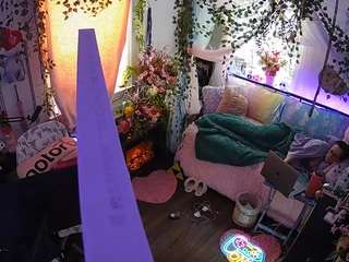 voyeurcam-veccasalt-01