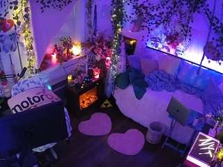 voyeurcam-veccasalt-01 webcam