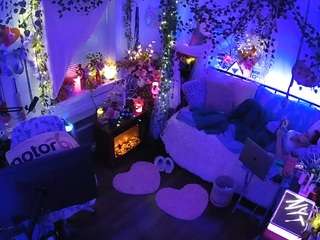 voyeurcam-veccasalt-01 webcam