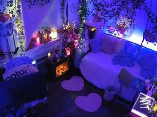 voyeurcam veccasalt 01