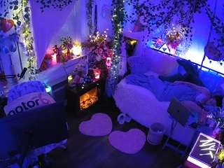 voyeurcam veccasalt 01