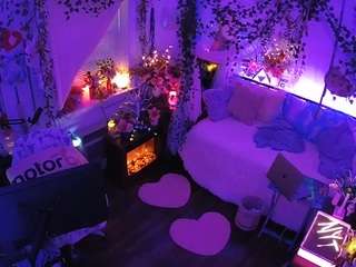 voyeurcam veccasalt 01