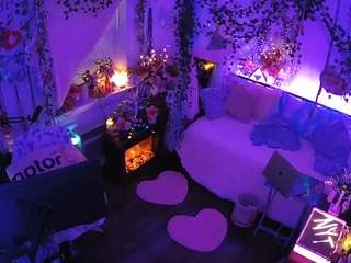 voyeurcam-veccasalt-01 webcam