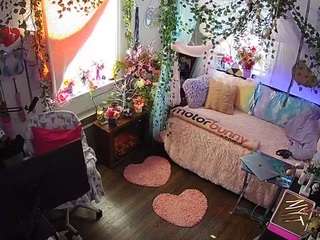 voyeurcam-veccasalt-01 webcam