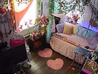 voyeurcam-veccasalt-01 webcam