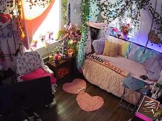 voyeurcam-veccasalt-01 webcam