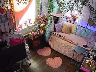 voyeurcam-veccasalt-01 webcam