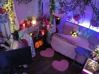 voyeurcam veccasalt 01