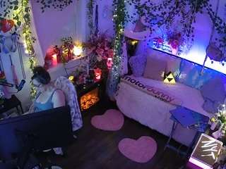 voyeurcam veccasalt 01