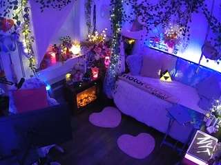 voyeurcam-veccasalt-01 webcam