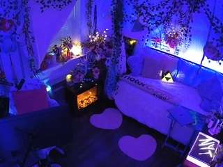 voyeurcam veccasalt 01