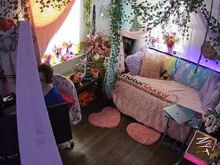 voyeurcam-veccasalt-01 webcam