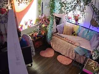 voyeurcam veccasalt 01