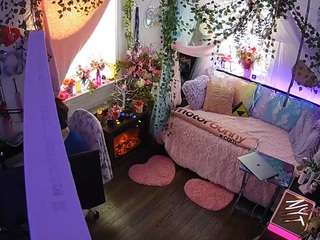 voyeurcam veccasalt 01