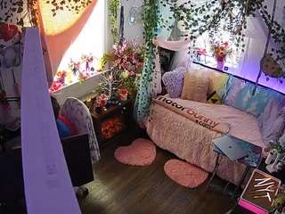 voyeurcam-veccasalt-01 webcam