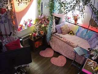 voyeurcam-veccasalt-01 webcam