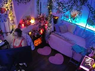 voyeurcam-veccasalt-01 webcam