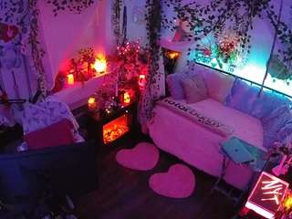 voyeurcam-veccasalt-01 webcam