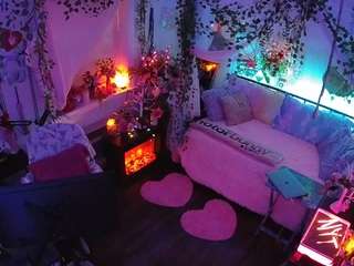 voyeurcam-veccasalt-01 webcam