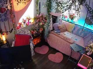 voyeurcam veccasalt 01