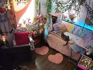 voyeurcam-veccasalt-01 webcam