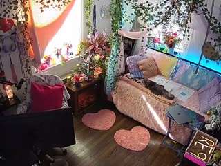 voyeurcam-veccasalt-01 webcam