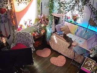 voyeurcam-veccasalt-01 webcam