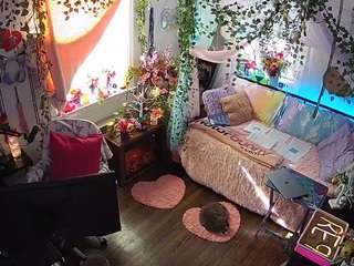 voyeurcam veccasalt 01