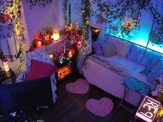 voyeurcam-veccasalt-01