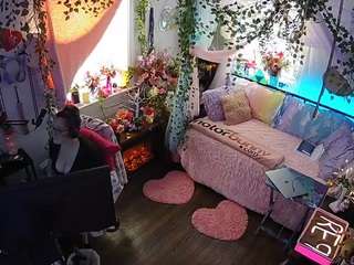 voyeurcam-veccasalt-01 webcam