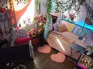 voyeurcam-veccasalt-01 webcam