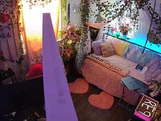 voyeurcam-veccasalt-01 webcam