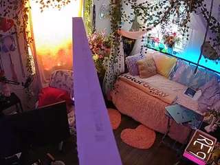 voyeurcam-veccasalt-01 webcam