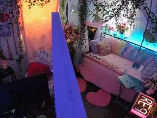 voyeurcam-veccasalt-01 webcam