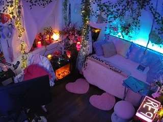 voyeurcam-veccasalt-01