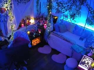 voyeurcam-veccasalt-01