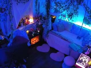 voyeurcam-veccasalt-01 webcam