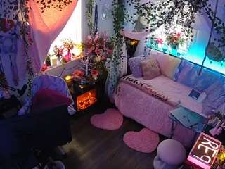 voyeurcam-veccasalt-01 webcam