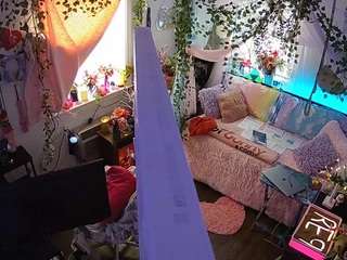 voyeurcam-veccasalt-01 webcam