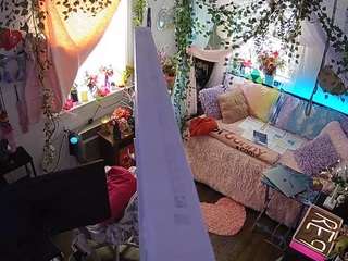 voyeurcam-veccasalt-01 webcam