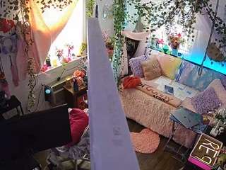 voyeurcam-veccasalt-01 webcam