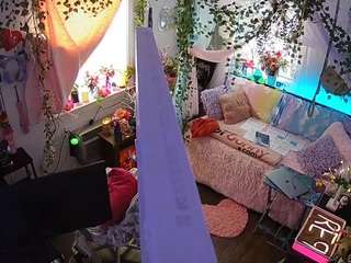 voyeurcam-veccasalt-01 webcam