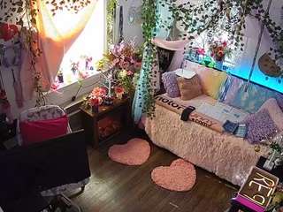 voyeurcam-veccasalt-01 webcam