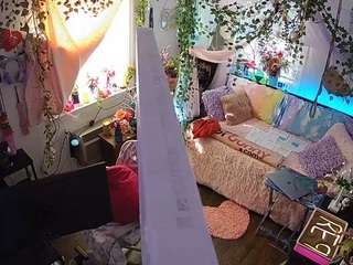 voyeurcam-veccasalt-01 webcam